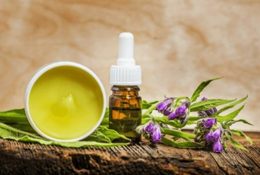 Comfrey [Symphytum officinale]